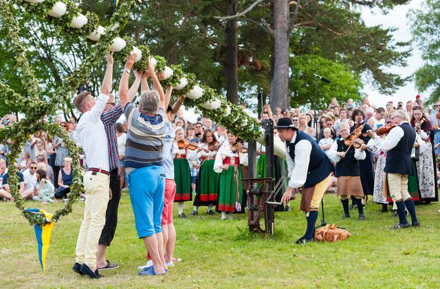 Resning av midsommarstången i Orsa Resning av midsommarstången